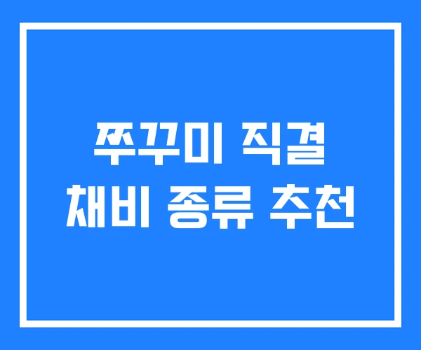 쭈꾸미 직결 채비 종류 추천 쭈꾸미 직결 채비 종류 추천