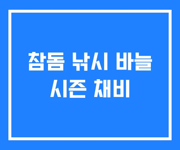 참돔 낚시 바늘 시즌 채비