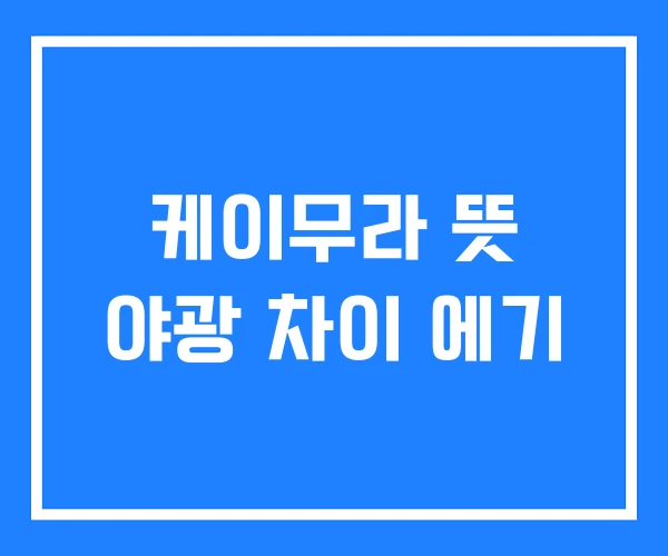 케이무라 뜻 야광 차이 에기 케이무라 뜻 야광 차이 에기