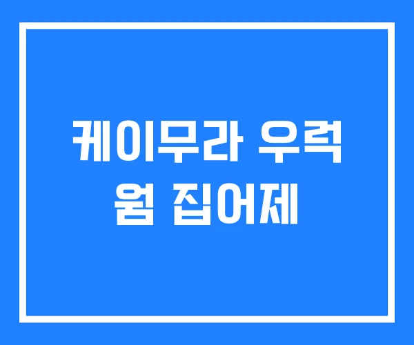 케이무라 우럭 웜 집어제 케이무라 우럭 웜 집어제