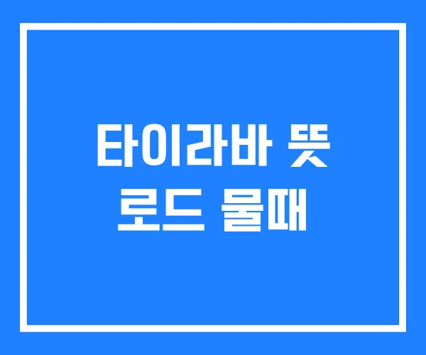 타이라바 뜻 로드 물때 타이라바 뜻 로드 물때