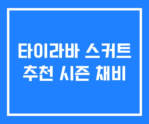 타이라바 스커트 추천 시즌 채비