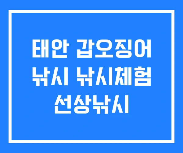 태안 갑오징어 낚시 낚시체험 선상낚시 태안 갑오징어 낚시 낚시체험 선상낚시