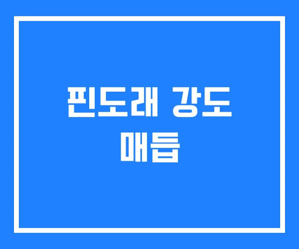 핀도래 강도 매듭 핀도래 강도 매듭