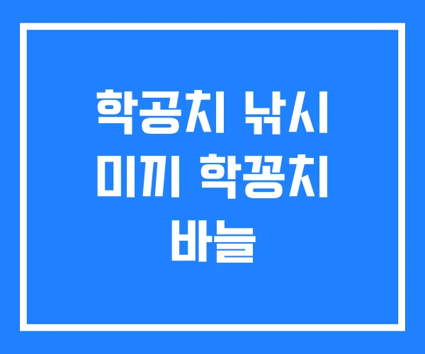 학공치 낚시 미끼 학꽁치 바늘 학공치 낚시 미끼 학꽁치 바늘