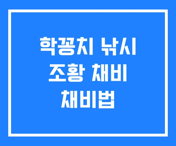 학꽁치 낚시 조황 채비 채비법