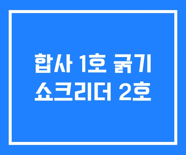 합사 1호 굵기 쇼크리더 2호