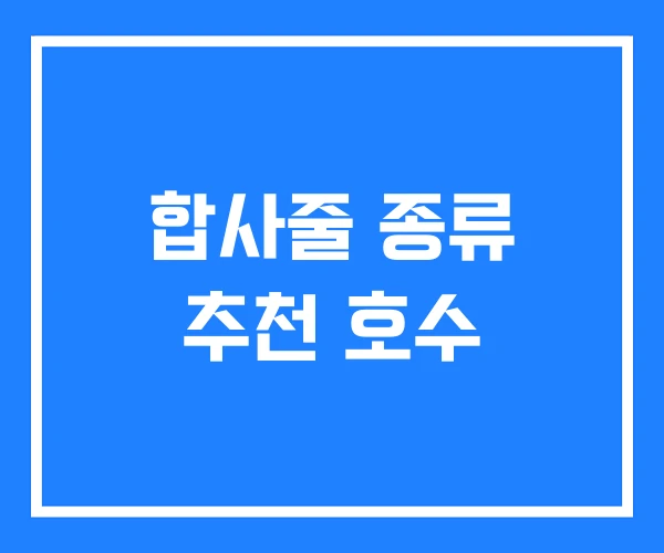 합사줄 종류 추천 호수