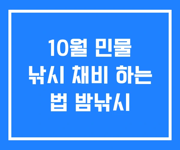 10월 민물 낚시 채비 하는 법 밤낚시
