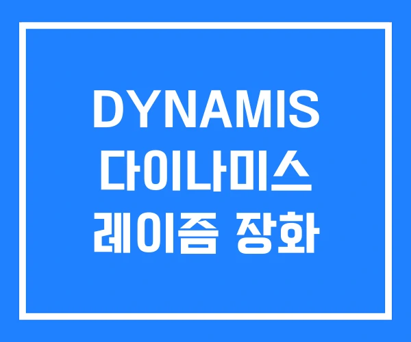 DYNAMIS 다이나미스 레이즘 장화
