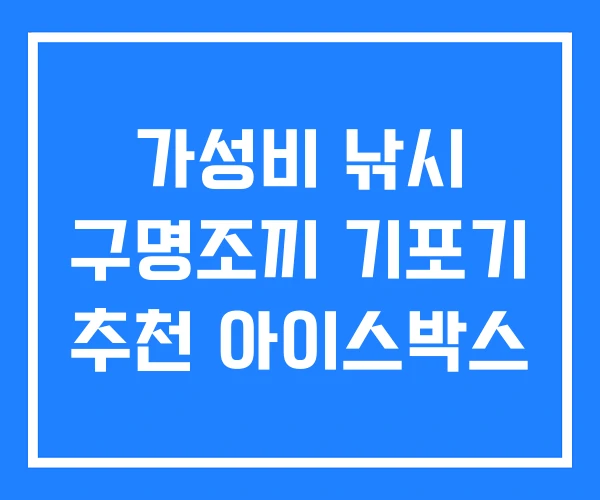 가성비 낚시 구명조끼 기포기 추천 아이스박스