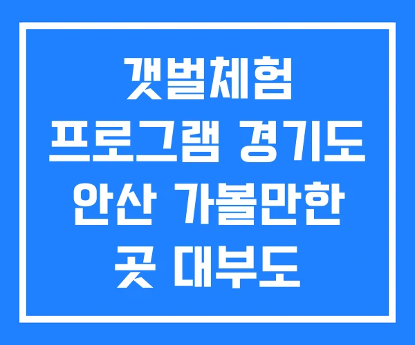 갯벌체험 프로그램 경기도 안산 가볼만한 곳 대부도