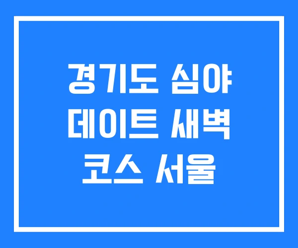 경기도 심야 데이트 새벽 코스 서울