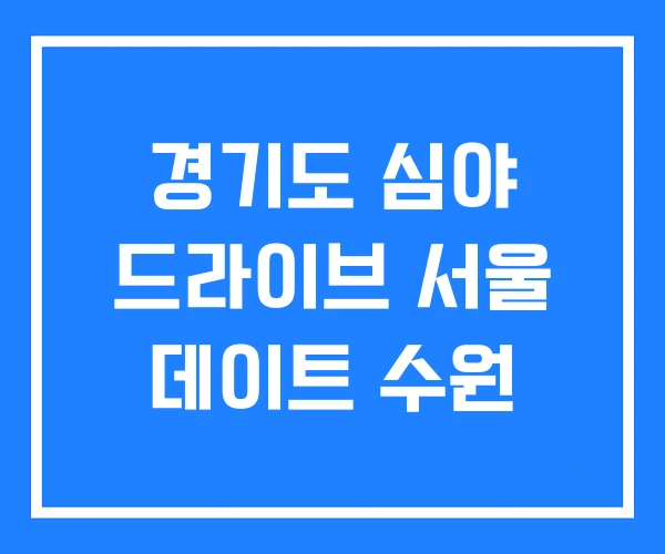 경기도 심야 드라이브 서울 데이트 수원