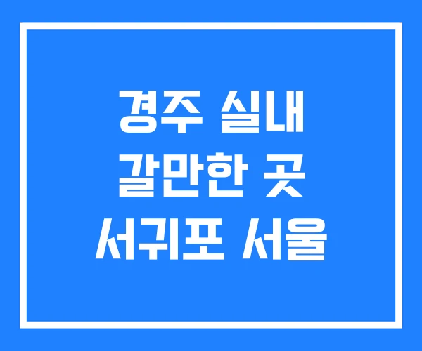 경주 실내 갈만한 곳 서귀포 서울 경주 실내 갈만한 곳 서귀포 서울