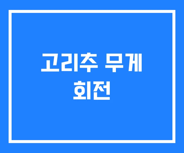고리추 무게 회전