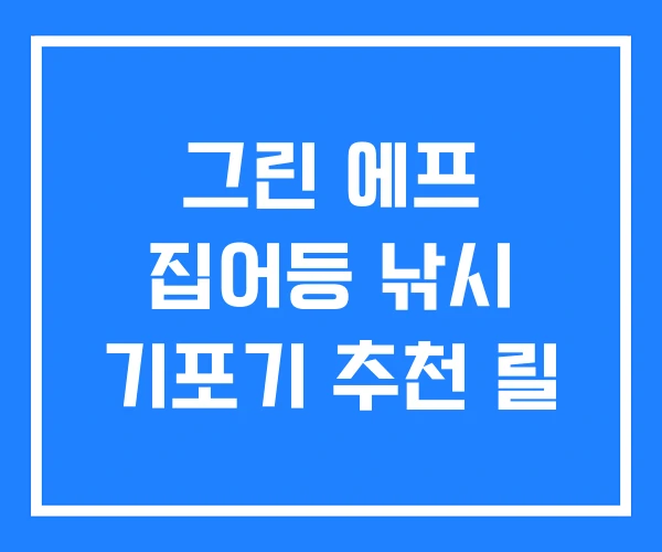 그린 에프 집어등 낚시 기포기 추천 릴 그린 에프 집어등 낚시 기포기 추천 릴