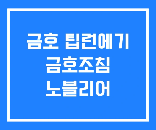 금호 팁런에기 금호조침 노블리어