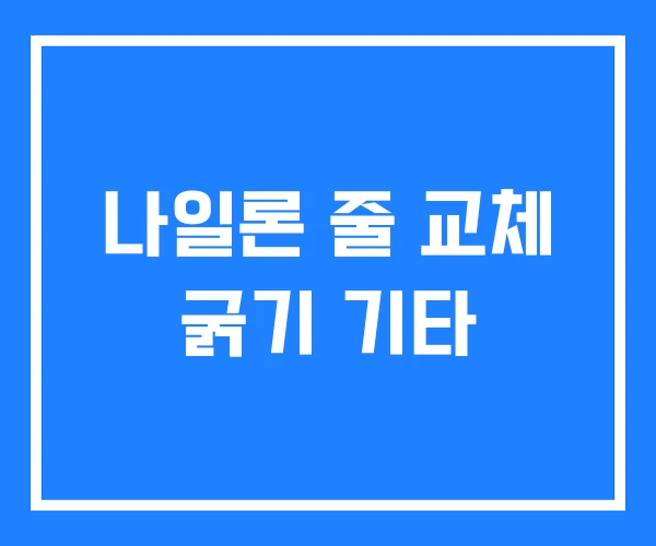 나일론 줄 교체 굵기 기타 나일론 줄 교체 굵기 기타