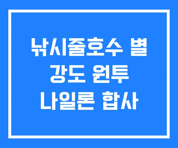 낚시줄호수 별 강도 원투 나일론 합사