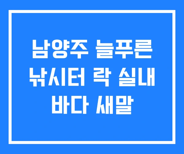 남양주 늘푸른 낚시터 락 실내 바다 새말