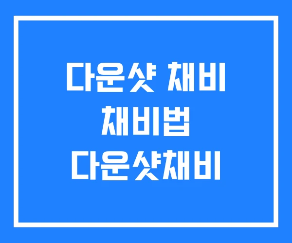 다운샷 채비 채비법 다운샷채비