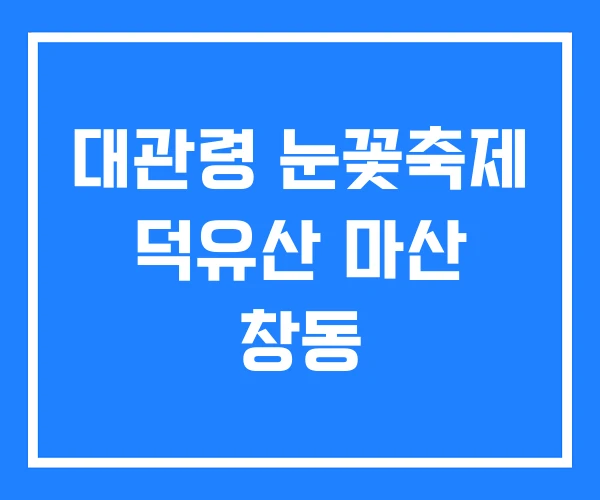 대관령 눈꽃축제 덕유산 마산 창동
