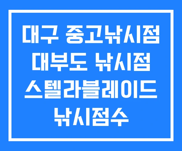 대구 중고낚시점 대부도 낚시점 스텔라블레이드 낚시점수