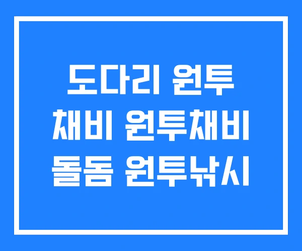 도다리 원투 채비 원투채비 돌돔 원투낚시
