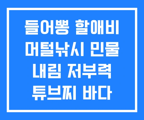 들어뽕 할애비 머털낚시 민물 내림 저부력 튜브찌 바다 전자막대찌 들어뽕 할애비 머털낚시 민물 내림 저부력 튜브찌 바다 전자막대찌