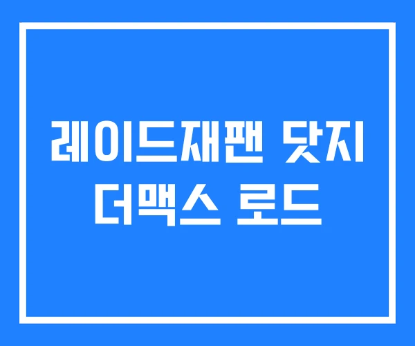 레이드재팬 닷지 더맥스 로드