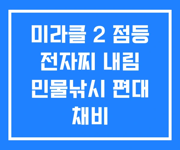 미라클 2 점등 전자찌 내림 민물낚시 편대 채비 미라클 2 점등 전자찌 내림 민물낚시 편대 채비