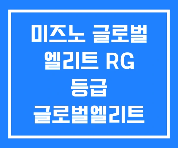 미즈노 글로벌 엘리트 RG 등급 글로벌엘리트 미즈노 글로벌 엘리트 RG 등급 글로벌엘리트