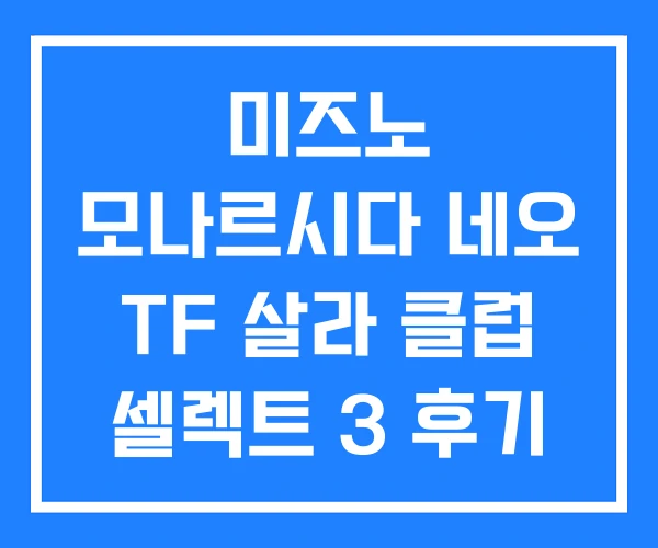 미즈노 모나르시다 네오 TF 살라 클럽 셀렉트 3 후기 미즈노 모나르시다 네오 TF 살라 클럽 셀렉트 3 후기