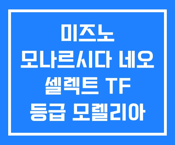 미즈노 모나르시다 네오 셀렉트 TF 등급 모렐리아 차이