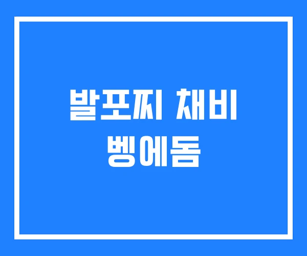 발포찌 채비 벵에돔 발포찌 채비 벵에돔