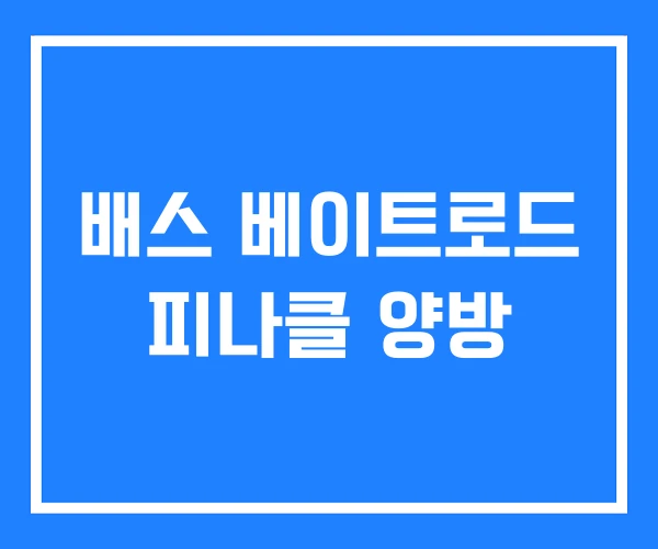배스 베이트로드 피나클 양방