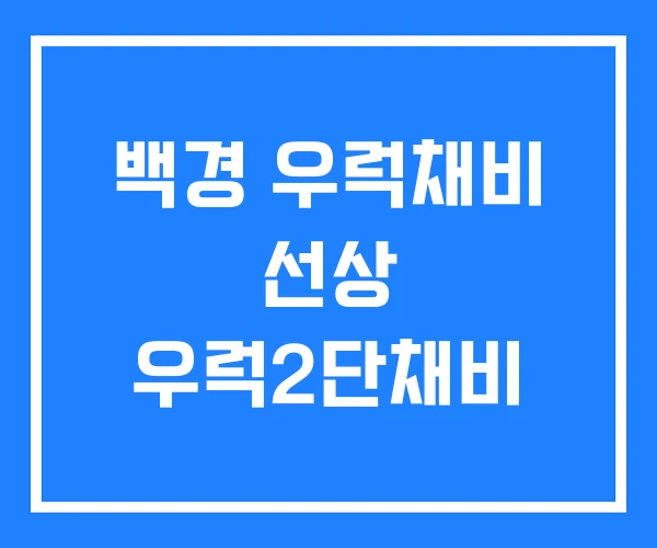 백경 우럭채비 선상 우럭2단채비 백경 우럭채비 선상 우럭2단채비