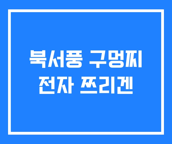 북서풍 구멍찌 전자 쯔리겐
