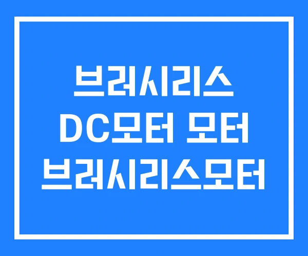 브러시리스 DC모터 모터 브러시리스모터 브러시리스 DC모터 모터 브러시리스모터