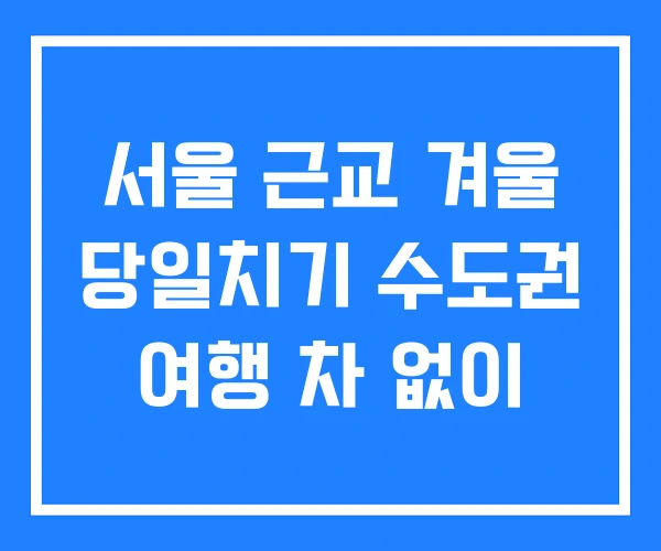 서울 근교 겨울 당일치기 수도권 여행 차 없이