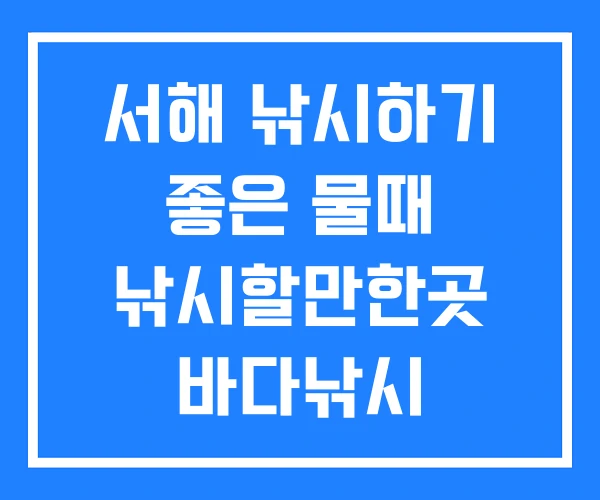 서해 낚시하기 좋은 물때 낚시할만한곳 바다낚시