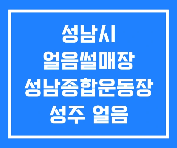 성남시 얼음썰매장 성남종합운동장 성주 얼음 썰매장 성남시 얼음썰매장 성남종합운동장 성주 얼음 썰매장