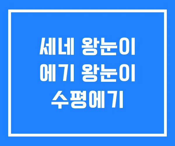 세네 왕눈이 에기 왕눈이 수평에기 세네 왕눈이 에기 왕눈이 수평에기