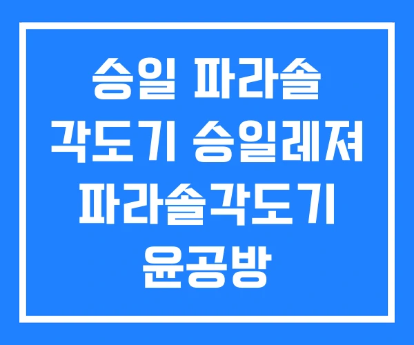 승일 파라솔 각도기 승일레져 파라솔각도기 윤공방 승일 파라솔 각도기 승일레져 파라솔각도기 윤공방