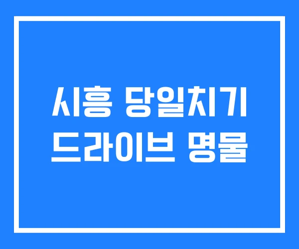 시흥 당일치기 드라이브 명물 시흥 당일치기 드라이브 명물