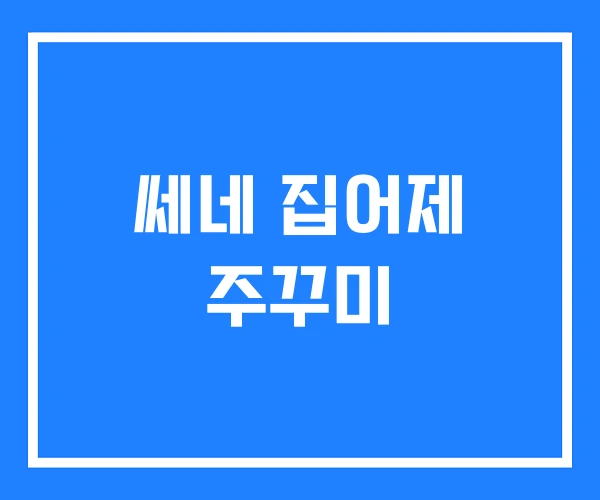 쎄네 집어제 주꾸미 쎄네 집어제 주꾸미