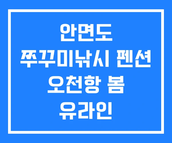 안면도 쭈꾸미낚시 펜션 오천항 봄 유라인 쭈꾸미낚시대