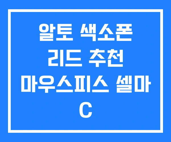 알토 색소폰 리드 추천 마우스피스 셀마 C 알토 색소폰 리드 추천 마우스피스 셀마 C
