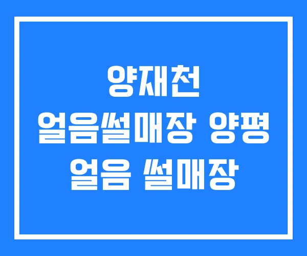 양재천 얼음썰매장 양평 얼음 썰매장